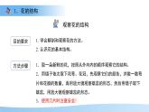 第3節(jié) 植物的繁殖 第1課時 課件  生物蘇教版（2024）七年級下冊