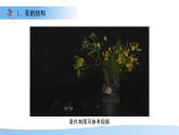 第3節(jié) 植物的繁殖 第1課時 課件  生物蘇教版（2024）七年級下冊