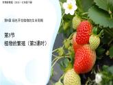 第3節(jié) 植物的繁殖 第2課時 課件  生物蘇教版（2024）七年級下冊