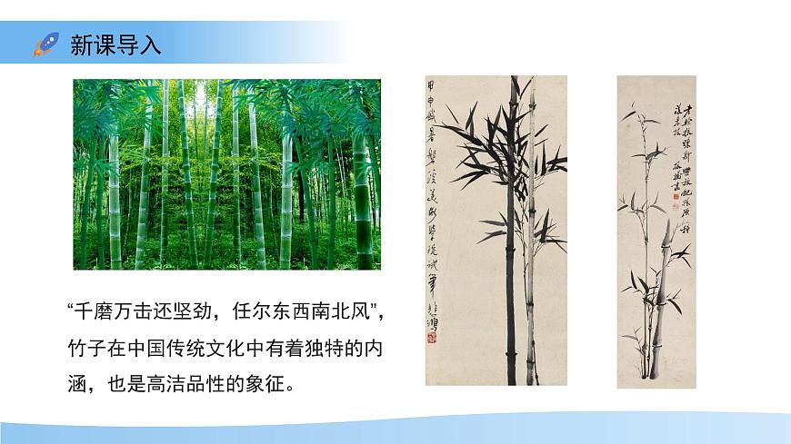 第3节 植物的繁殖 第2课时 课件  生物苏教版（2024）七年级下册第3页