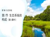 第1節(jié) 生態(tài)系統(tǒng)的構(gòu)成 第1課時(shí) 課件 生物蘇教版（2024）七年級(jí)下冊(cè)