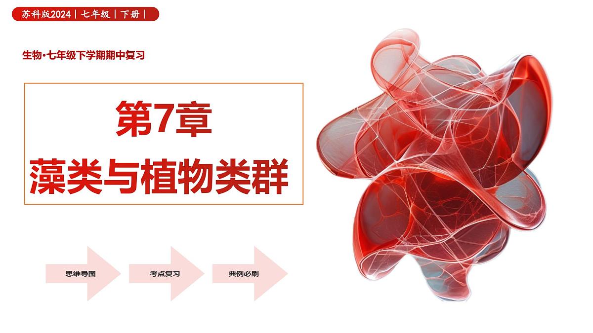 第7章 藻类与植物类群（复习课件） 2025学年七年级生物下学期期中考点大串讲（苏科版2024）第1页