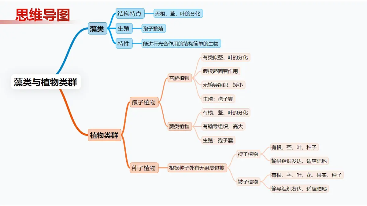 第7章 藻类与植物类群（复习课件） 2025学年七年级生物下学期期中考点大串讲（苏科版2024）第2页