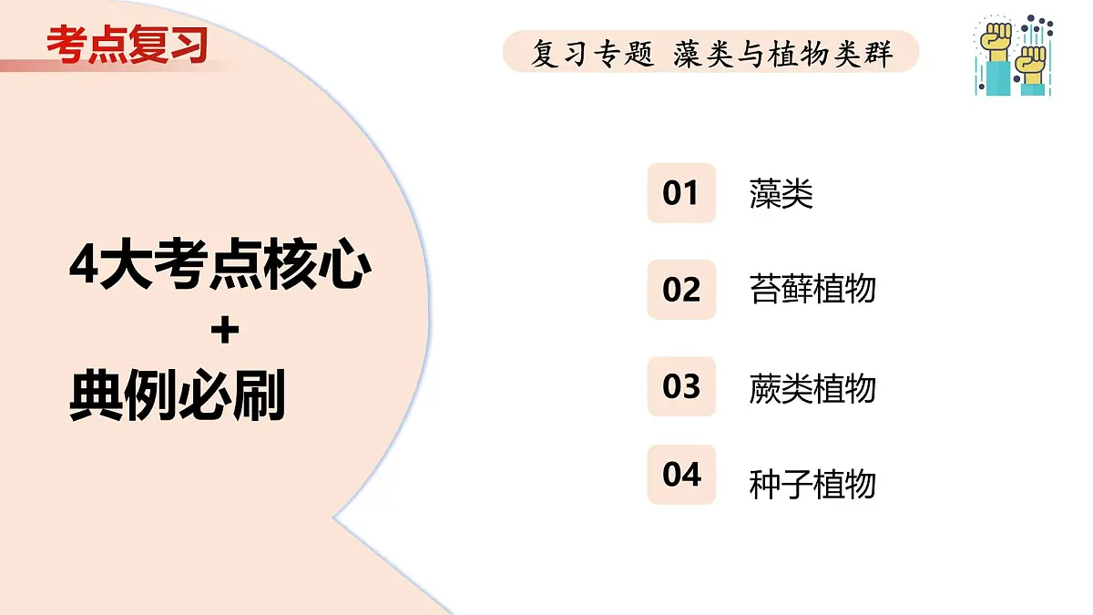 第7章 藻类与植物类群（复习课件） 2025学年七年级生物下学期期中考点大串讲（苏科版2024）第3页