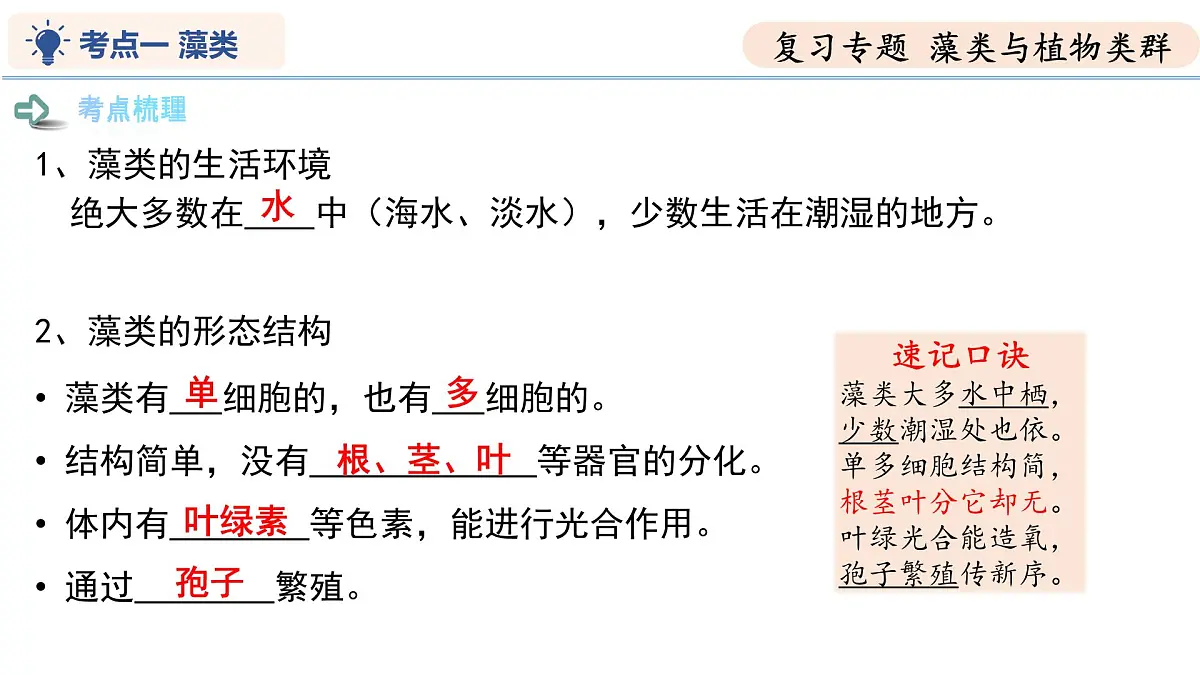 第7章 藻类与植物类群（复习课件） 2025学年七年级生物下学期期中考点大串讲（苏科版2024）第4页