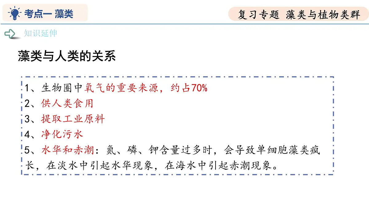 第7章 藻类与植物类群（复习课件） 2025学年七年级生物下学期期中考点大串讲（苏科版2024）第8页
