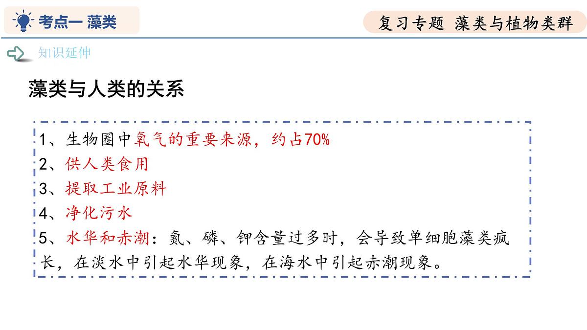 第7章 藻类与植物类群（复习课件） 2025学年七年级生物下学期期中考点大串讲（苏科版2024）第8页