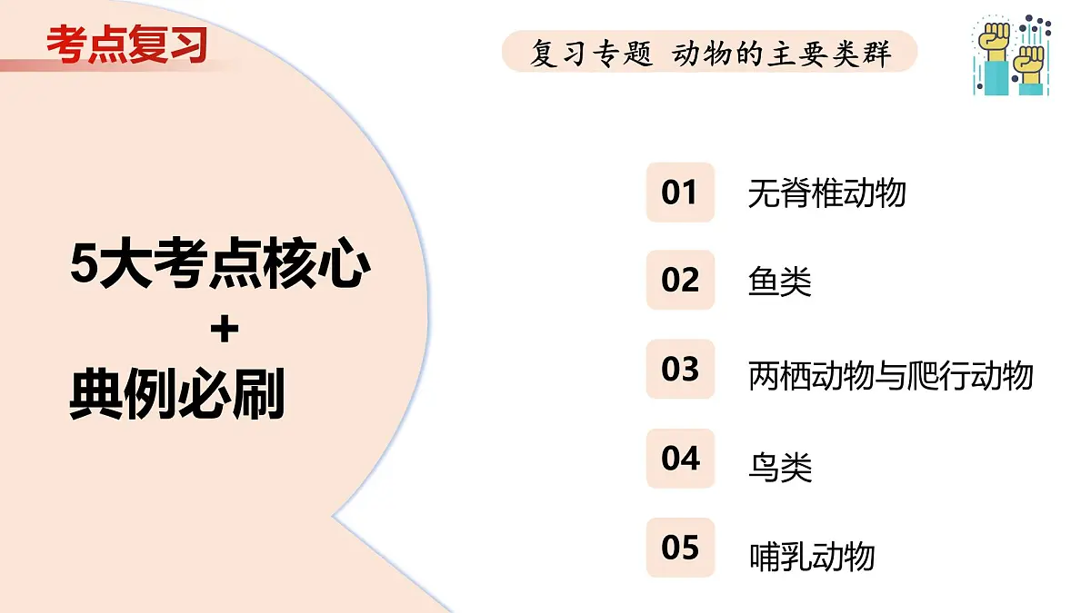 第8章 动物的主要类群（复习课件）-2024-2025学年七年级生物下学期期中考点大串讲（苏科版2024）第3页