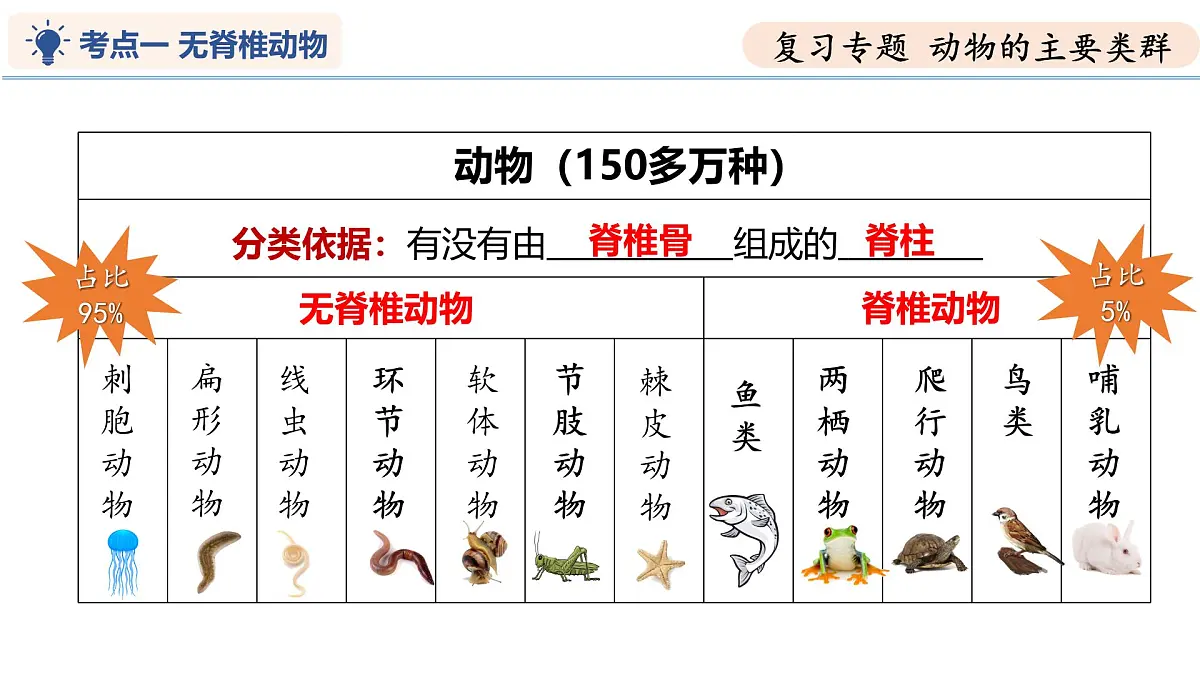 第8章 动物的主要类群（复习课件）-2024-2025学年七年级生物下学期期中考点大串讲（苏科版2024）第6页