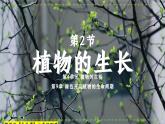 9.2 植物的生長發(fā)育 課件-2024-2025學年蘇教版生物七年級下冊