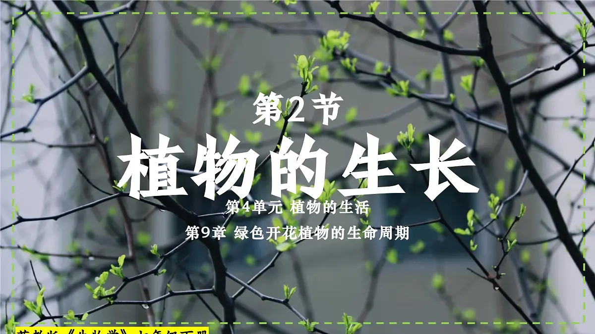 9.2 植物的生长发育 课件-2024-2025学年苏教版生物七年级下册第1页