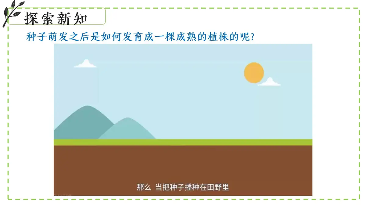 9.2 植物的生长发育 课件-2024-2025学年苏教版生物七年级下册第4页