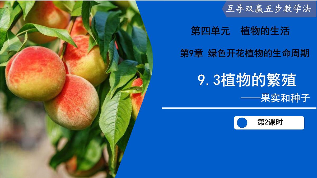 9.3 植物的繁殖（第2课时）（课件） 2025学年七年级生物下册优质备课（苏教版2024）第1页
