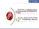 9.3 植物的繁殖（第2課時）（課件） 2025學年七年級生物下冊優(yōu)質備課（蘇教版2024）