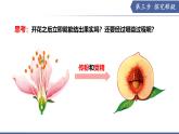 9.3 植物的繁殖（第2課時）（課件） 2025學年七年級生物下冊優(yōu)質備課（蘇教版2024）