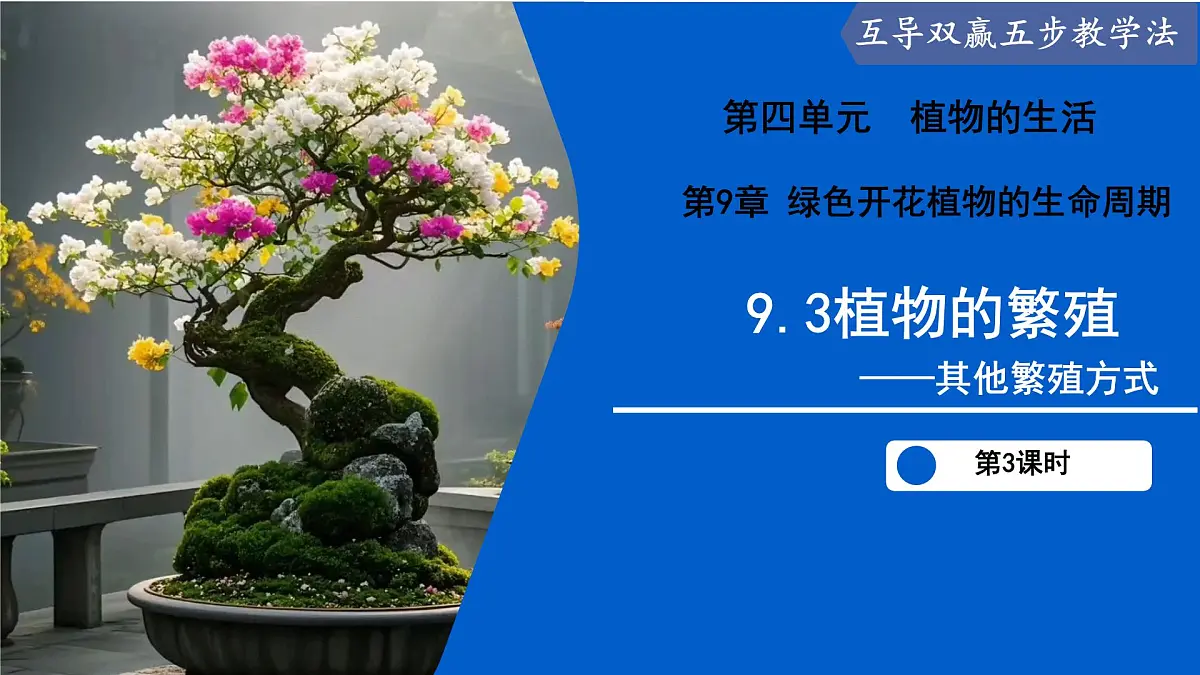 9.3 植物的繁殖（第3课时）（课件） 2025学年七年级生物下册优质备课（苏教版2024）第1页