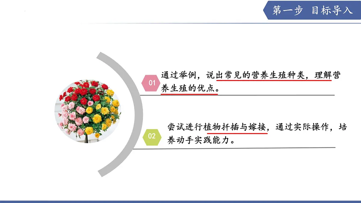 9.3 植物的繁殖（第3课时）（课件） 2025学年七年级生物下册优质备课（苏教版2024）第2页