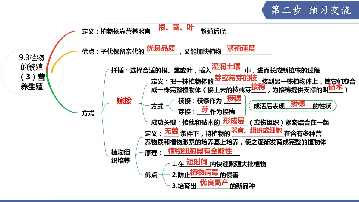 9.3 植物的繁殖（第3课时）（课件） 2025学年七年级生物下册优质备课（苏教版2024）第3页