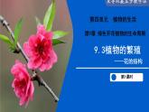 9.3 植物的繁殖（第1課時）（課件） 2025學年七年級生物下冊優(yōu)質備課（蘇教版2024）