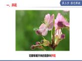 9.3 植物的繁殖（第1課時）（課件） 2025學年七年級生物下冊優(yōu)質備課（蘇教版2024）