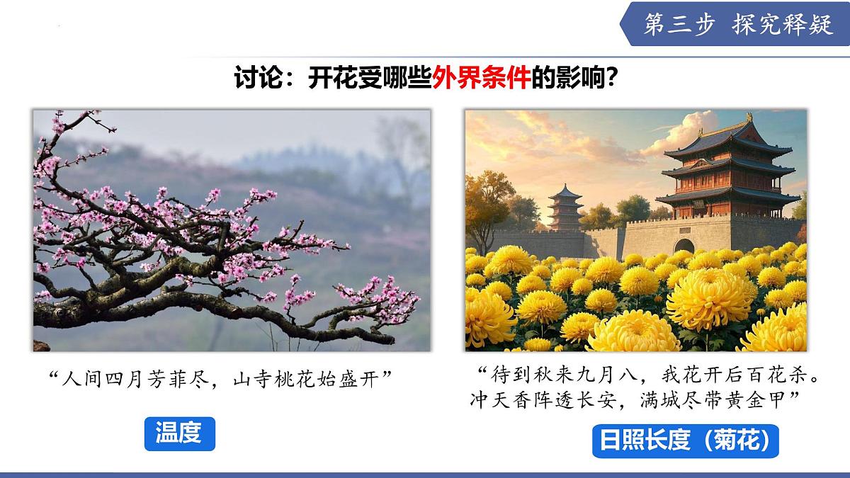 9.3 植物的繁殖（第1课时）（课件） 2025学年七年级生物下册优质备课（苏教版2024）第6页