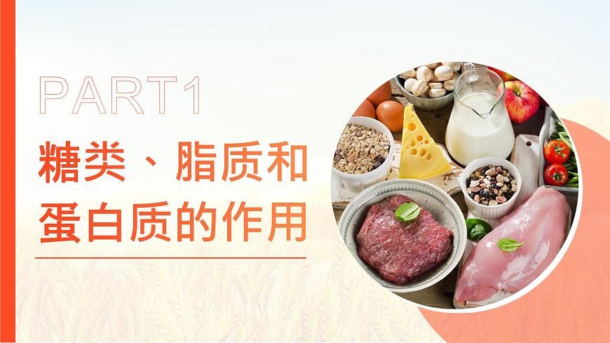 4.2.1食物中的营养物质 2025学年七年级生物下册同步教学精品课件（人教版2024）第5页