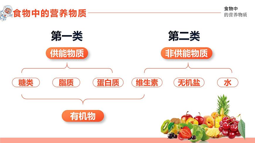 4.2.1食物中的营养物质 2025学年七年级生物下册同步教学精品课件（人教版2024）第6页