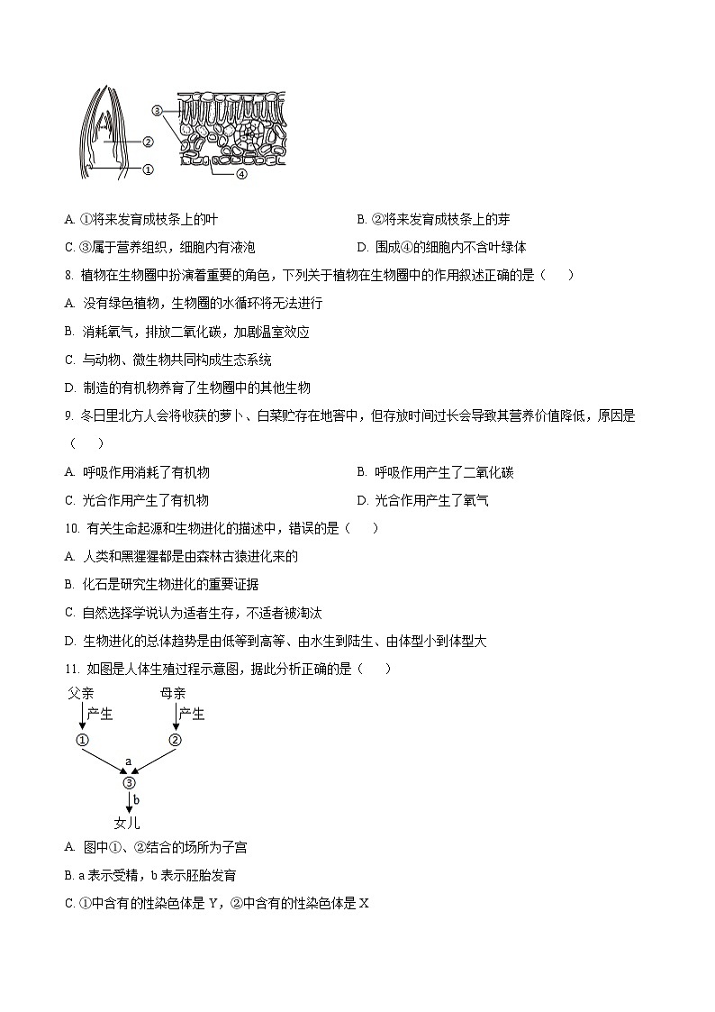 2025年甘肃省陇南市八年级一模生物试题（原卷版+解析版）第2页