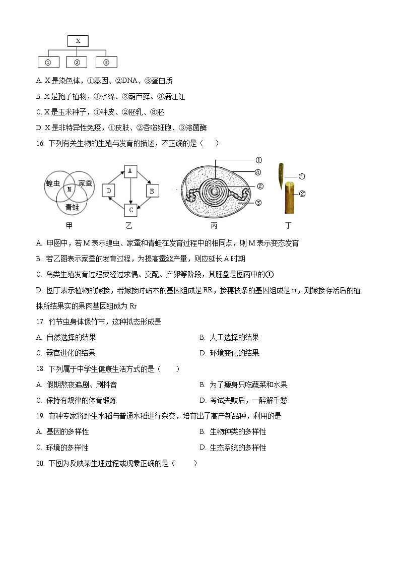 2025年江苏省盐城市大丰区八年级中考一模生物试题（原卷版+解析版）第3页