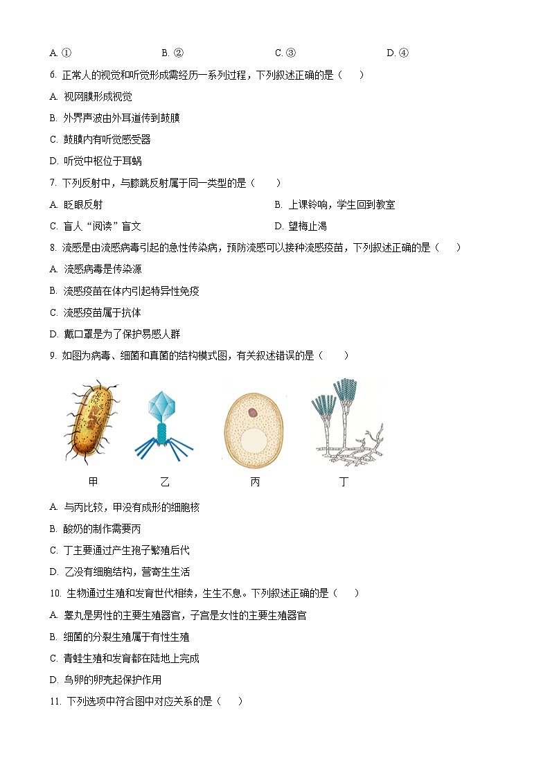 2025年辽宁省沈阳市沈河区中考模拟预测生物试题（原卷版+解析版）第2页