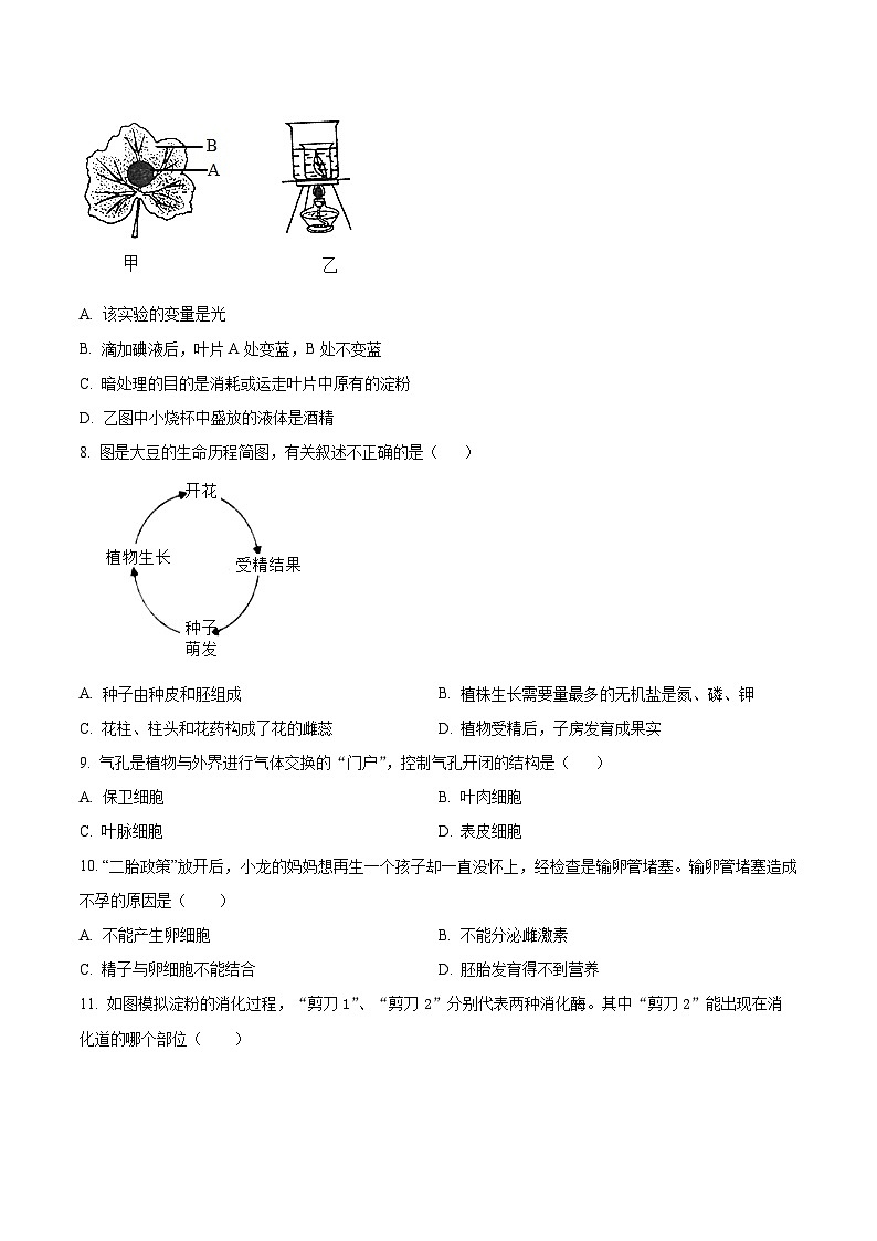 2025年山东省聊城市冠县中考一模生物试题（原卷版+解析版）第2页