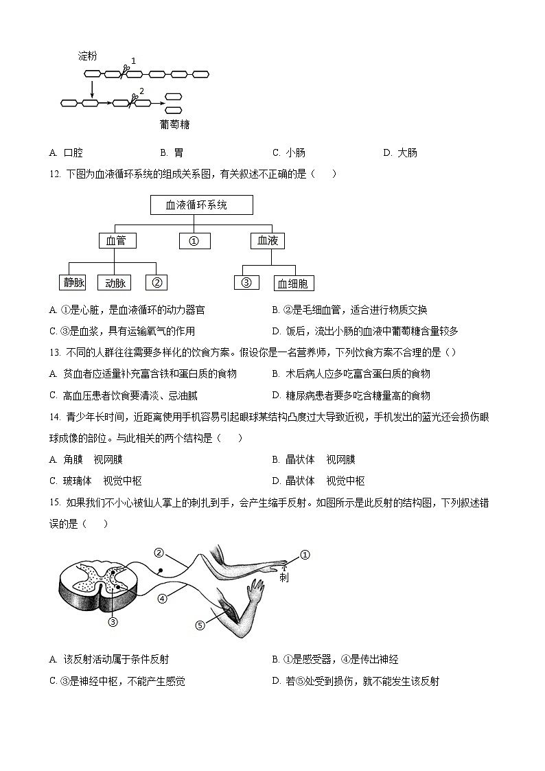 2025年山东省聊城市冠县中考一模生物试题（原卷版+解析版）第3页