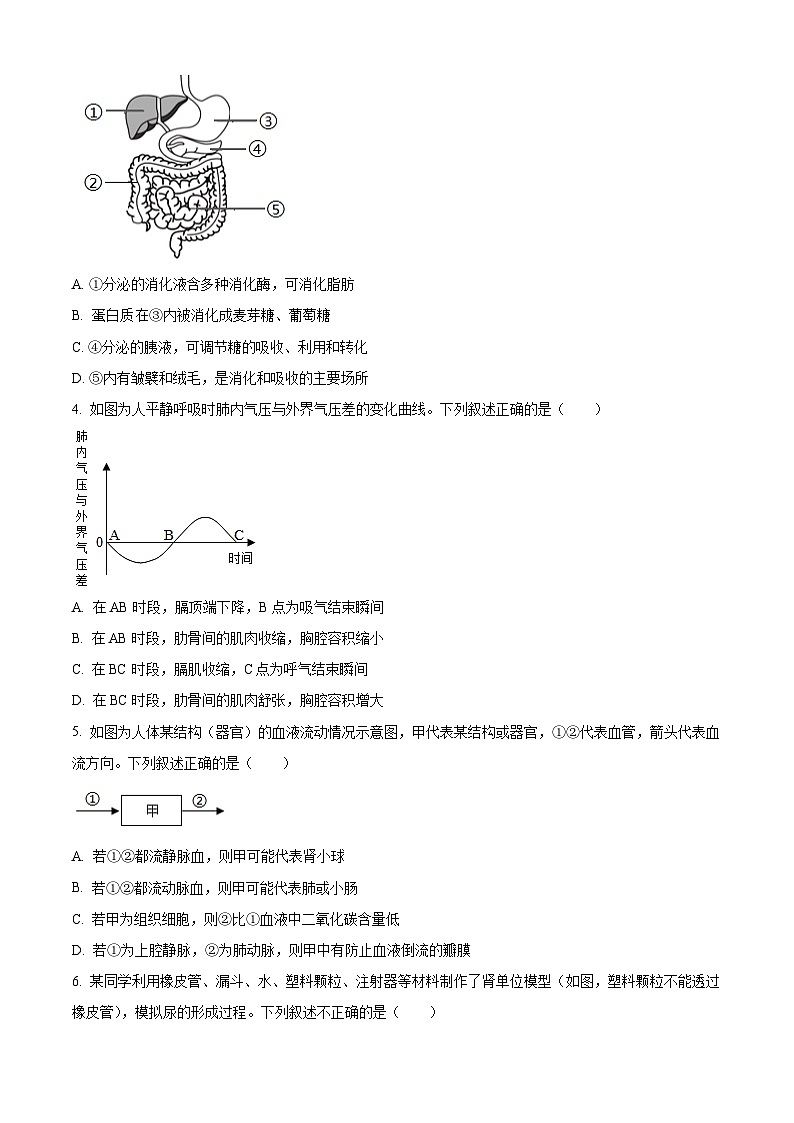 2025年山东省泰安市东平县中考一模生物试题（原卷版+解析版）第2页
