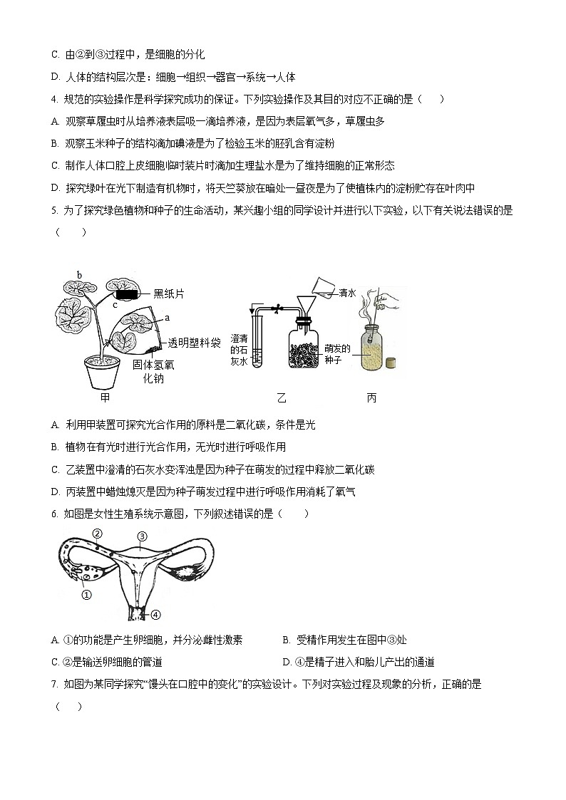 2025年四川省宜城市中考一模生物试题（原卷版+解析版）第2页