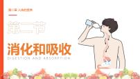 人教版（2024）七年级下册（2024）消化和吸收教学ppt课件