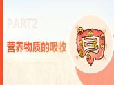 4.2.2 消化和吸收（第二课时）2025学年七年级生物下册同步教学精品课件（人教版2024）
