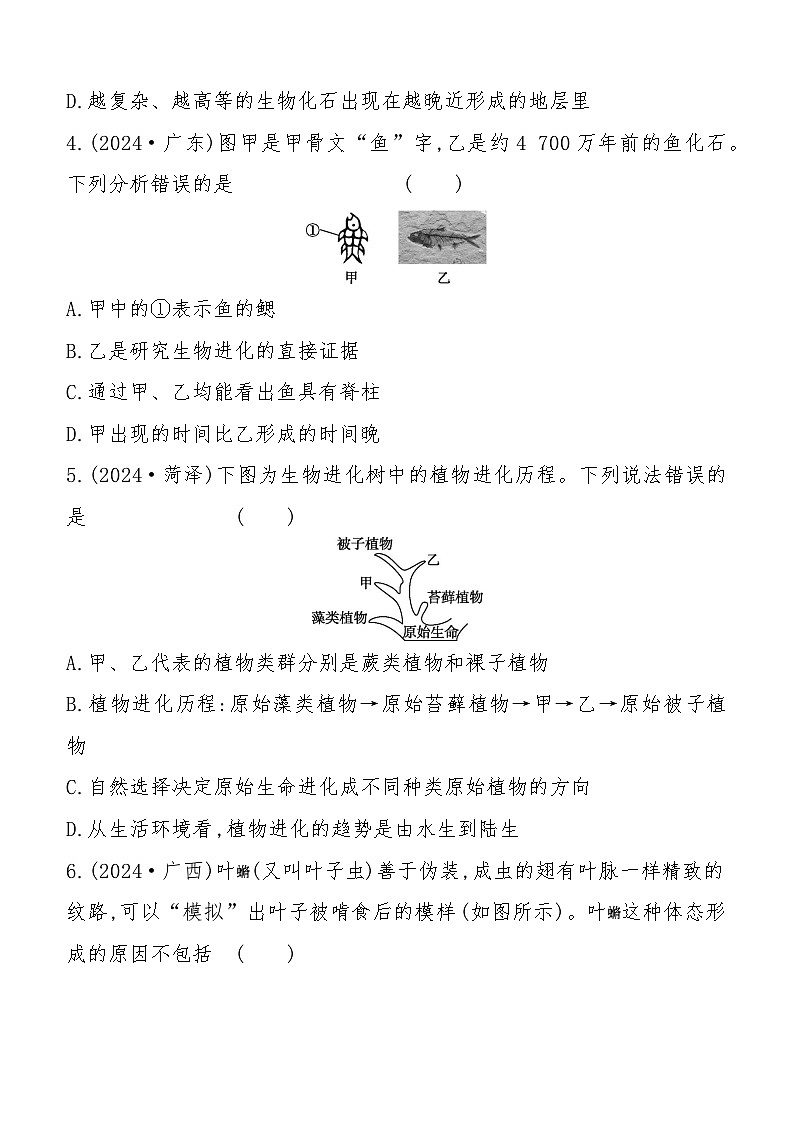 第21讲　生命起源和生物进化  2025年会考初中生物学专题练习（含答案）第2页