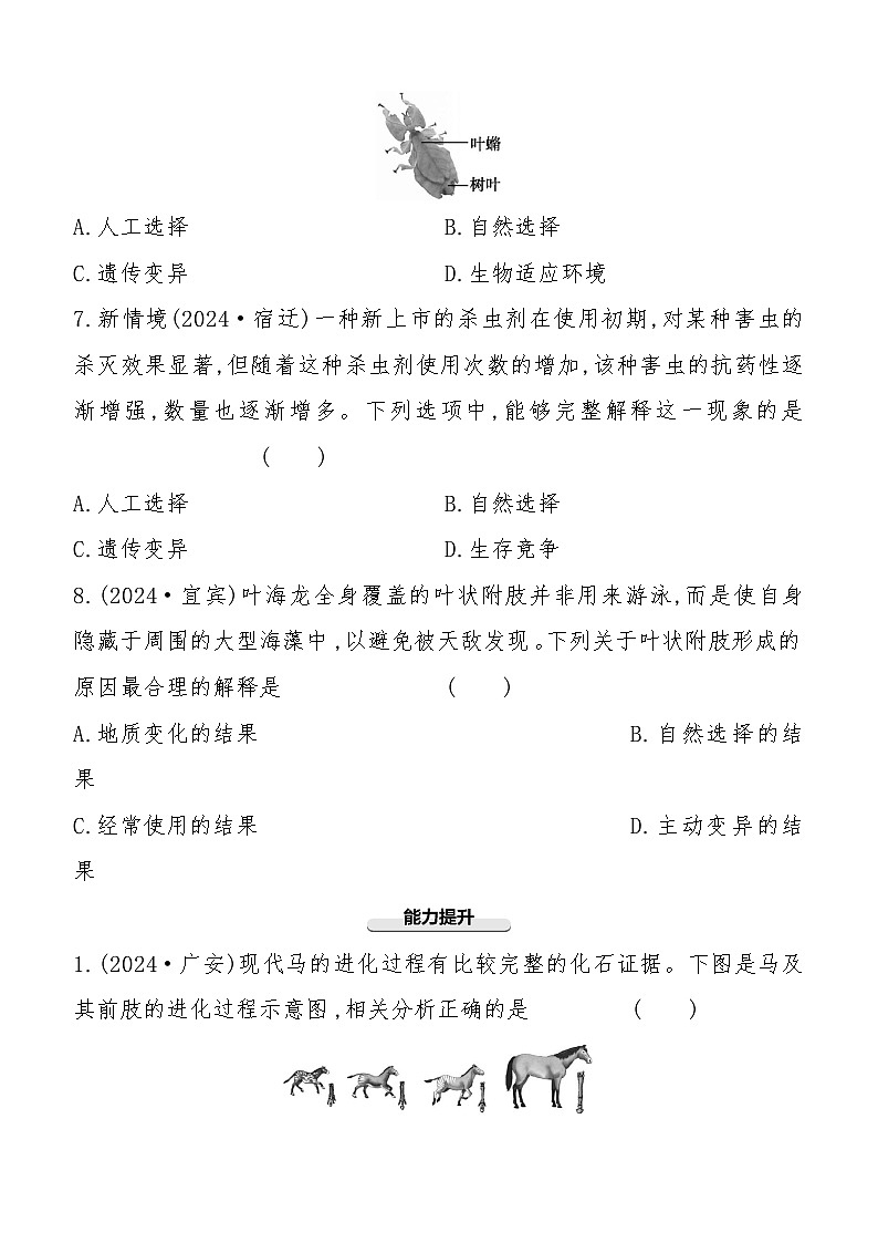 第21讲　生命起源和生物进化  2025年会考初中生物学专题练习（含答案）第3页