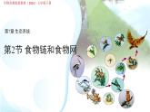 7.2 食物鏈和食物網(wǎng) 課件 生物蘇教版（2024）七年級下冊第七章