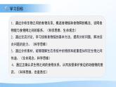 7.2 食物鏈和食物網(wǎng) 課件 生物蘇教版（2024）七年級下冊第七章