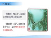 7.2 食物鏈和食物網(wǎng) 課件 生物蘇教版（2024）七年級下冊第七章