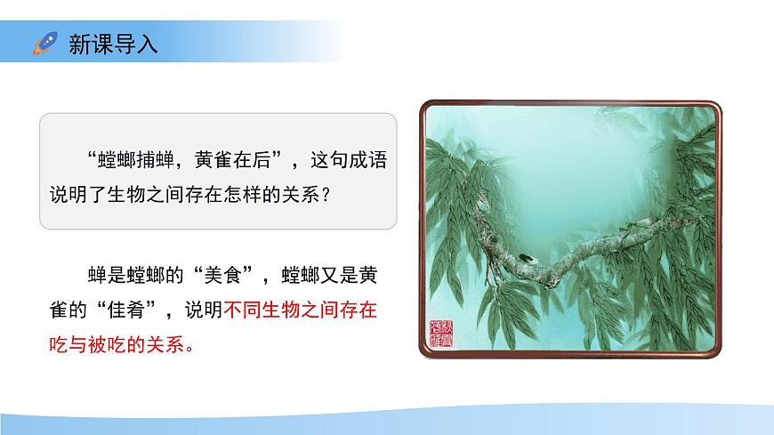 7.2 食物链和食物网 课件 生物苏教版（2024）七年级下册第七章第3页