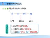 7.2 食物鏈和食物網(wǎng) 課件 生物蘇教版（2024）七年級下冊第七章