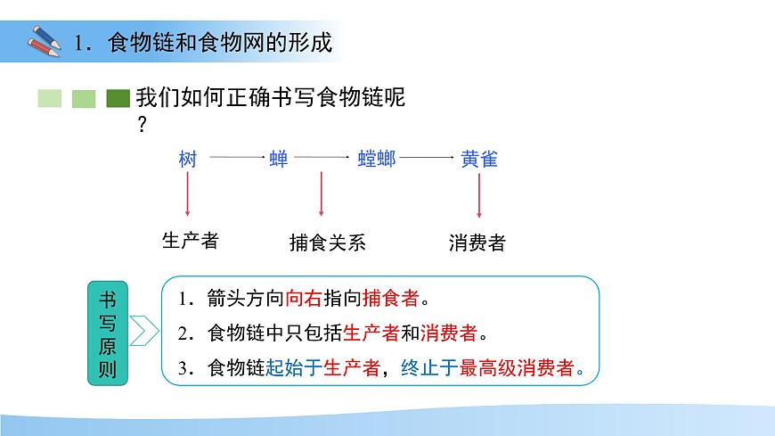 7.2 食物链和食物网 课件 生物苏教版（2024）七年级下册第七章第5页