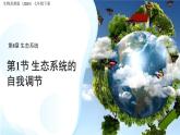 8.1 生態(tài)系統(tǒng)的自我調節(jié) 課件 生物蘇教版（2024）七年級下冊第八章