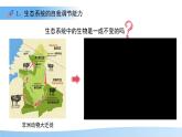 8.1 生態(tài)系統(tǒng)的自我調節(jié) 課件 生物蘇教版（2024）七年級下冊第八章