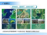 8.2 生態(tài)安全 課件 生物蘇教版（2024）七年級(jí)下冊(cè)第八章