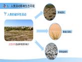 8.2 生態(tài)安全 課件 生物蘇教版（2024）七年級(jí)下冊(cè)第八章