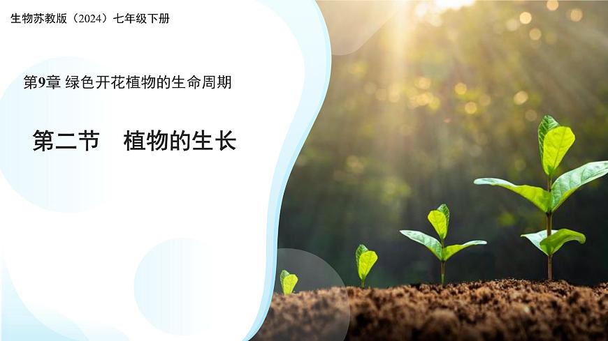 4.9.2 植物的生长 课件 生物苏教版（2024）七年级下册第四单元第1页