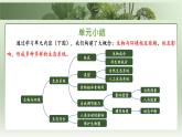 3.8 生態(tài)系統(tǒng)的自我調(diào)節(jié)和生態(tài)安全 復(fù)習(xí)課件 生物蘇教版（2024）七年級(jí)下冊(cè)第三單元